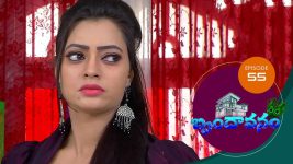 Brundavanam S01E55 4th September 2020 Full Episode