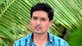 Durva S29E05 Akash Leaves Durva? Full Episode