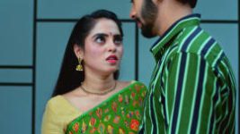 Gattimela S01E174 6th November 2019 Full Episode