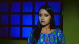 Gattimela S01E176 8th November 2019 Full Episode