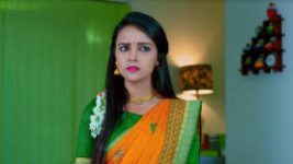 Gattimela S01E195 5th December 2019 Full Episode