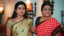 Idhayathai Thirudathey S01E201 26th November 2020 Full Episode