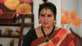 Idhayathai Thirudathey S01E246 22nd December 2020 Full Episode