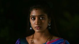 Idhayathai Thirudathey S01E249 24th December 2020 Full Episode