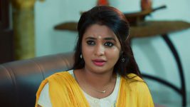 Idhayathai Thirudathey S01E258 29th December 2020 Full Episode