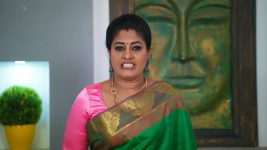 Idhayathai Thirudathey S01E295 20th January 2021 Full Episode