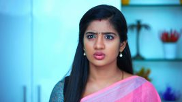 Idhayathai Thirudathey S01E436 13th April 2021 Full Episode