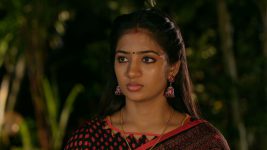 Idhayathai Thirudathey S01E95 20th August 2020 Full Episode