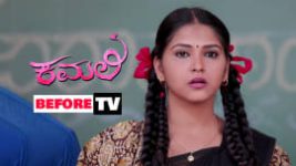 Kamali S01E196 24th January 2019 Full Episode