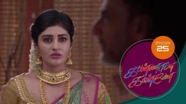 Kannana Kanne S01 E25 30th November 2020