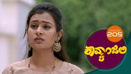 Kavyanjali S01E205 24th April 2021 Full Episode