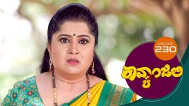 Kavyanjali S01E230 27th May 2021 Full Episode