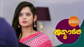 Kavyanjali S01E250 22nd June 2021 Full Episode