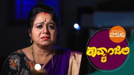 Kavyanjali S01E256 29th June 2021 Full Episode