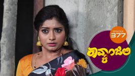 Kavyanjali S01E377 19th November 2021 Full Episode