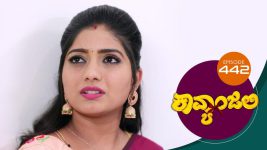 Kavyanjali S01E442 4th February 2022 Full Episode