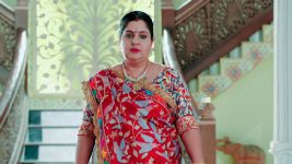 Kodala Kodala Koduku Pellama S12E36 Gowri Thrashes Meera Full Episode