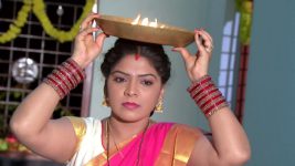 Koilamma S06E176 Lakshmi's Nanda Deepam Ritual Full Episode