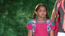 Koilamma S06E237 Chinni Gets Victimised Full Episode