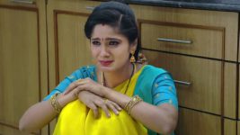 Koilamma S06E569 Kokila in Distress Full Episode