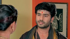 Lakshmi Kalyanam (Star Maa) S05E101 Danger Looms over Kalyan Full Episode