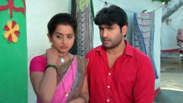 Lakshmi Kalyanam (Star Maa) S05E243 Lakshmi and Kalyan Get Caught? Full Episode