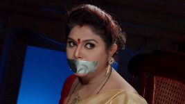 Lakshmi Kalyanam (Star Maa) S05E252 Rajeshwari in Trouble Full Episode