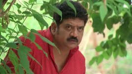 Lakshmi Kalyanam (Star Maa) S05E272 Arjun Rao Escapes from the Police Full Episode