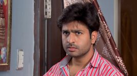 Lakshmi Kalyanam (Star Maa) S05E337 A Knock for Kalyan Full Episode