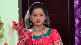 Lakshmi Kalyanam (Star Maa) S05E391 Lakshmi on a Mission Full Episode