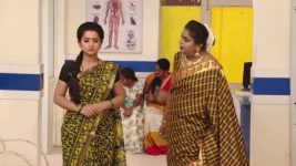 Lakshmi Kalyanam (Star Maa) S05E441 Lakshmi's Condition to Rajeshwari Full Episode