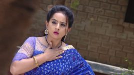 Lakshmi Kalyanam (Star Maa) S05E572 Rangi in Shock Full Episode