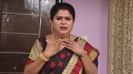 Lakshmi Kalyanam (Star Maa) S05E583 A Shock for Rajeshwari Full Episode