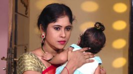 Lakshmi Kalyanam (Star Maa) S05E676 Suryakantham Returns the Baby Full Episode