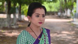 Lakshmi Kalyanam (Star Maa) S05E834 Lakshmi Slaps Swati Full Episode