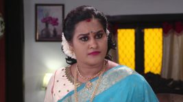 Lakshmi Kalyanam (Star Maa) S05E865 Nalini Is in for a Shock Full Episode