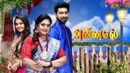 Minnale S01E406 12th December 2019 Full Episode