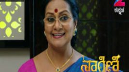 Naagini S01E186 31st October 2016 Full Episode