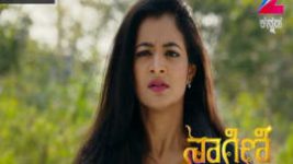 Naagini S01E195 11th November 2016 Full Episode