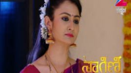 Naagini S01E206 28th November 2016 Full Episode