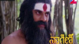 Naagini S01E208 30th November 2016 Full Episode