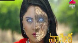 Naagini S01E70 13th May 2016 Full Episode