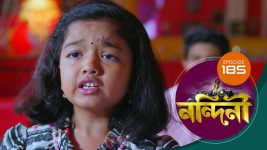 Nandini (Bengali) S01E185 26th February 2020 Full Episode