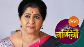 Nandini (Bengali) S01E295 10th September 2020 Full Episode