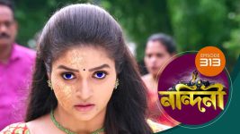 Nandini (Bengali) S01E313 28th September 2020 Full Episode