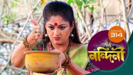 Nandini (Bengali) S01E314 29th September 2020 Full Episode