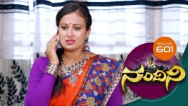 Nandini S01E601 7th March 2019 Full Episode