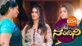 Nandini S01E604 12th March 2019 Full Episode