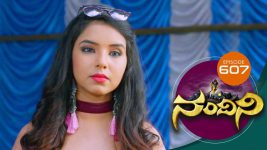 Nandini S01E607 15th March 2019 Full Episode