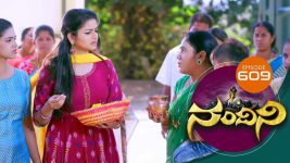 Nandini S01E609 19th March 2019 Full Episode